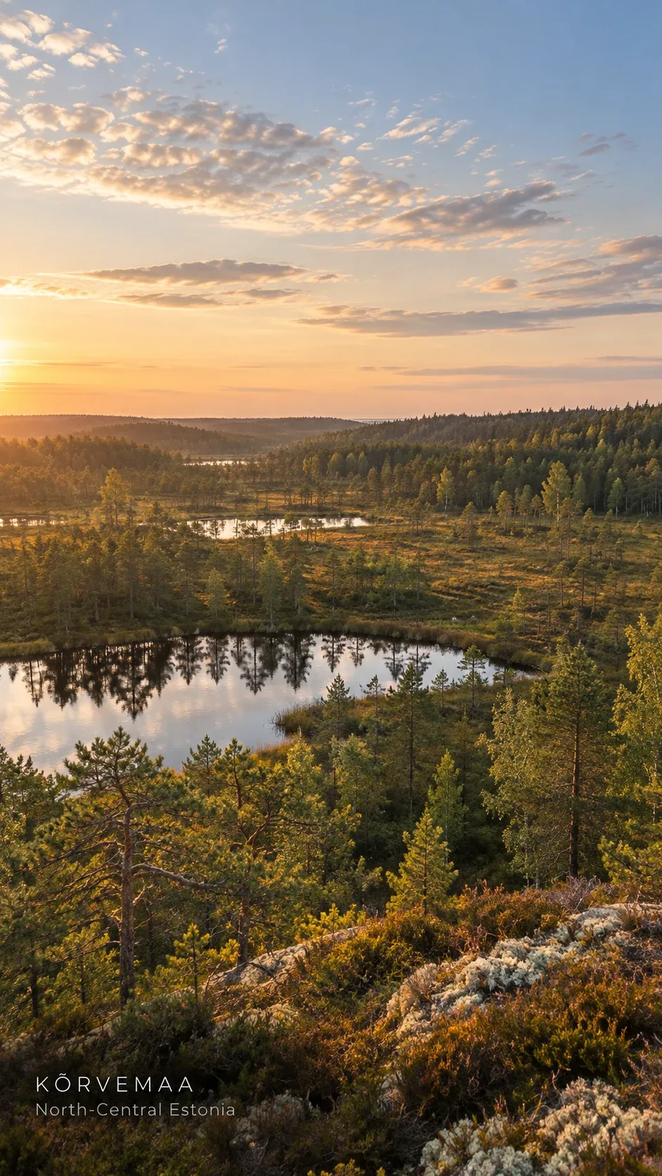 Kõrvemaa peatland